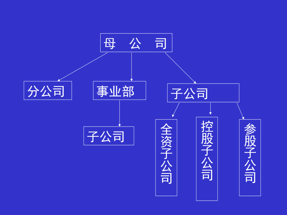 集团财务管理体制、管理与组织_第4页