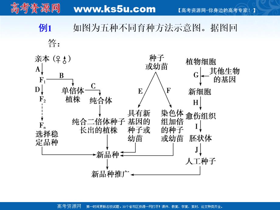 步步高二轮复习生物课件：规范答题_第3页