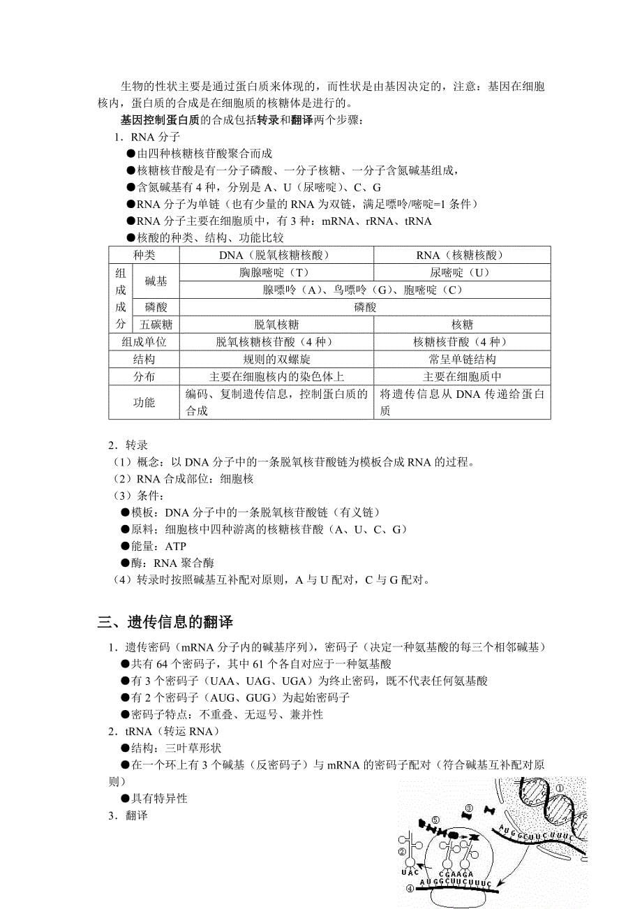 2017沪科版高中生命科学第二册第六章《遗传信息的传递和表达》word复习提纲_第5页