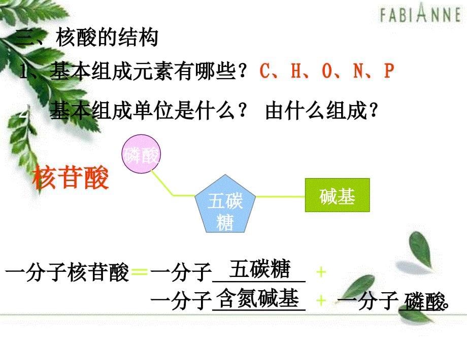 高一生物遗传信息的携带者—核酸1_第5页