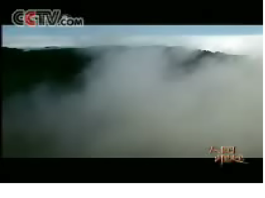 血与火的征服与掠夺【人民版】（课件_第1页