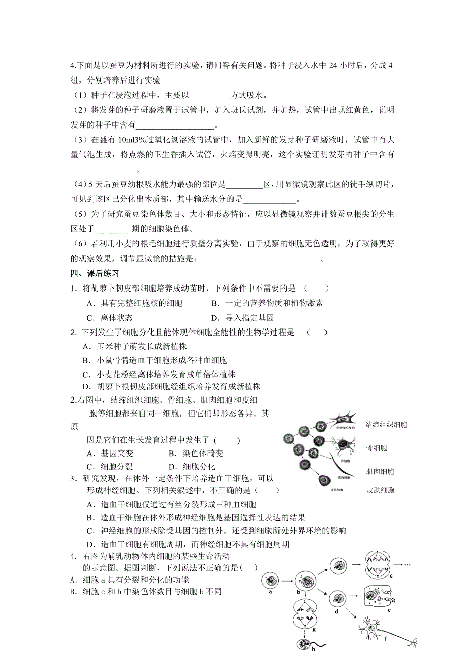 2017沪科版高中生命科学第二册7.4《细胞分化和植物细胞的全能性》word教案_第4页