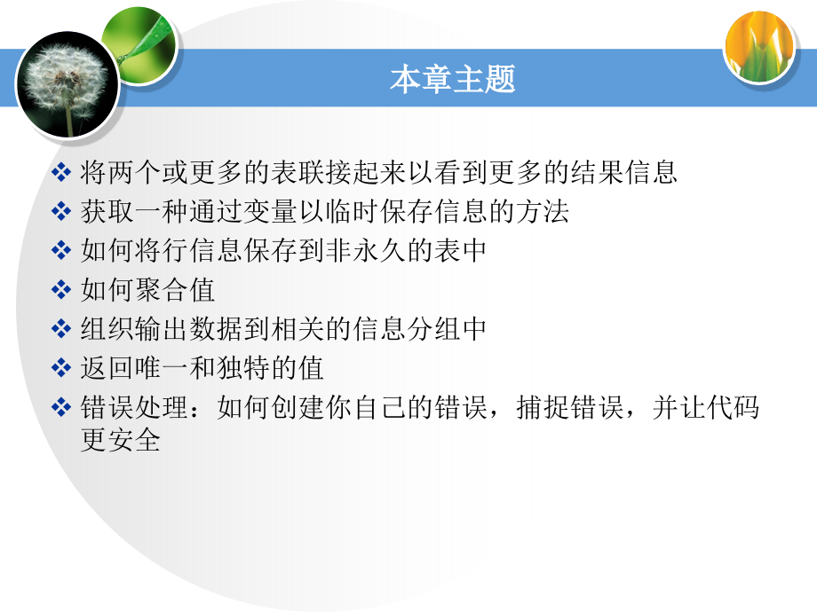 T-SQL程序设计课件_第2页