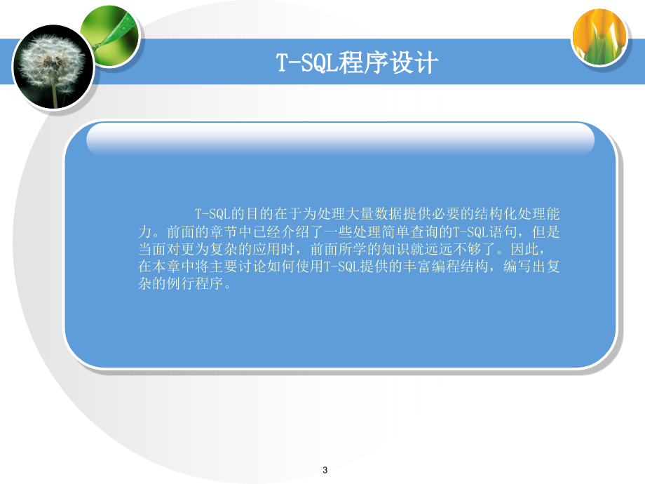 T-SQL程序设计课件_第3页