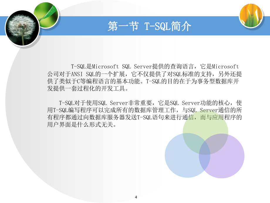 T-SQL程序设计课件_第4页