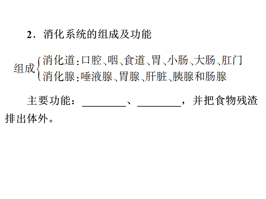 广东省深圳市文汇中学九年级科学中考复习课件：人体的新陈代谢_第4页