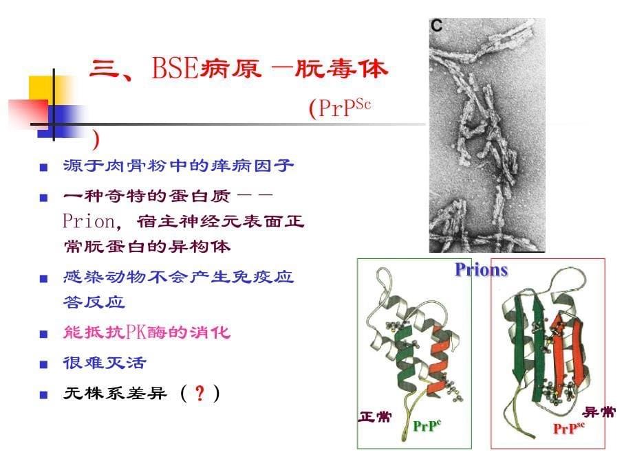 疯牛病检测规范与防控_第5页