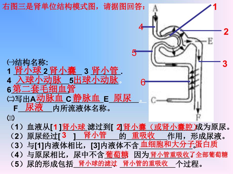 四个系统的复习_第4页