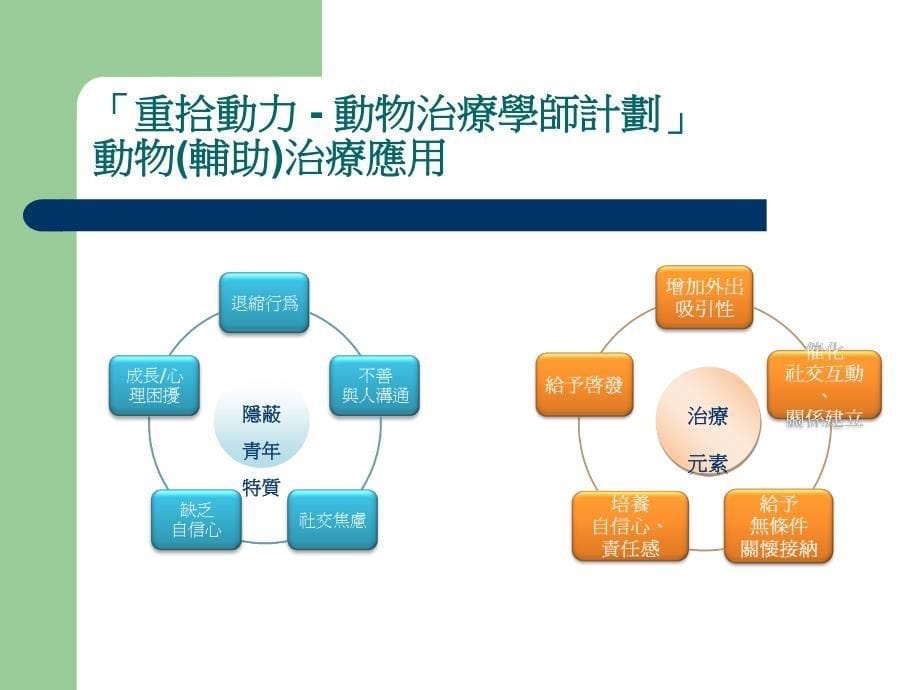 动物治疗学师计划_第5页