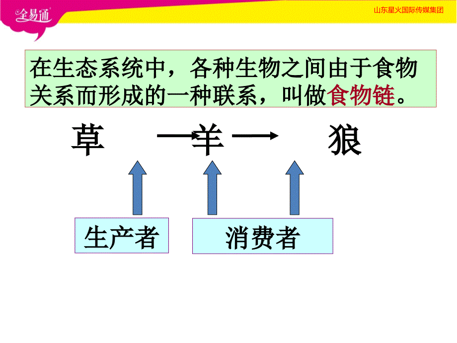 部编济南版初中八年级生物下册6.2.2食物链和食物网PPT（精品专供）_第4页