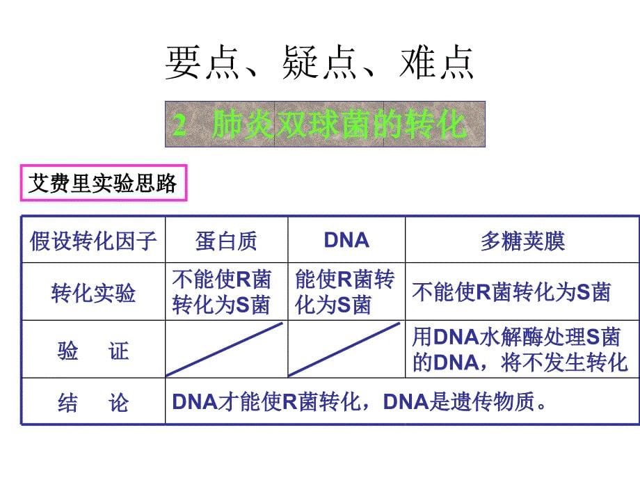 高一生物dna是主要的遗传物质1_第5页