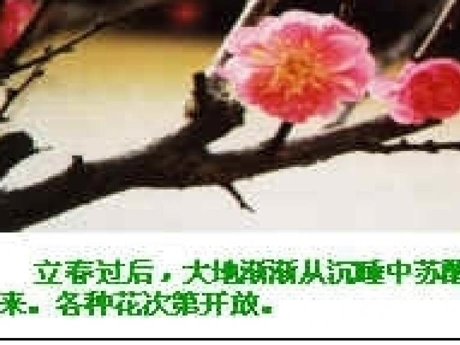 初中语文八年级上册《大自然的语言》课件_第1页
