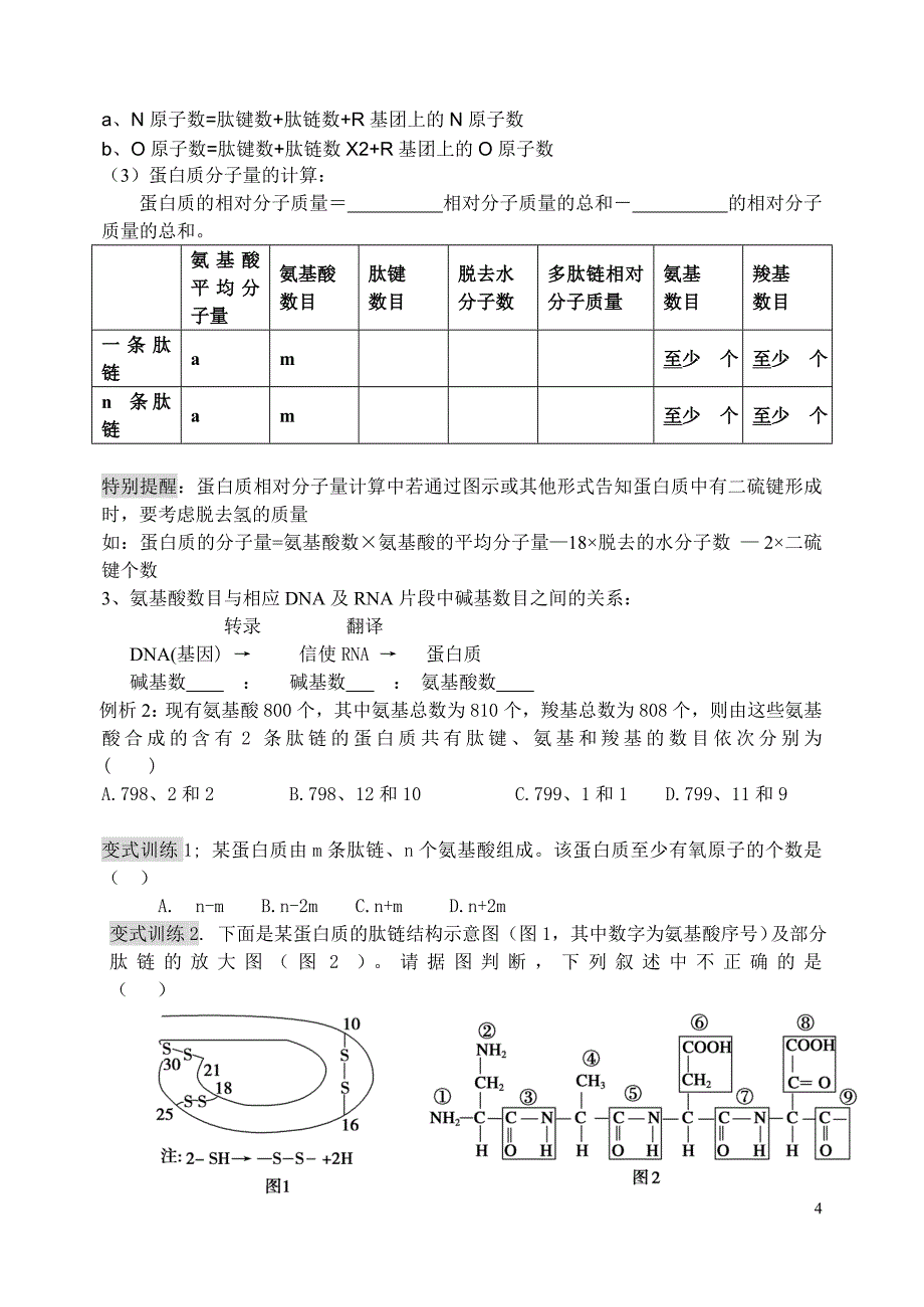 蛋白质一轮复习学案_第4页