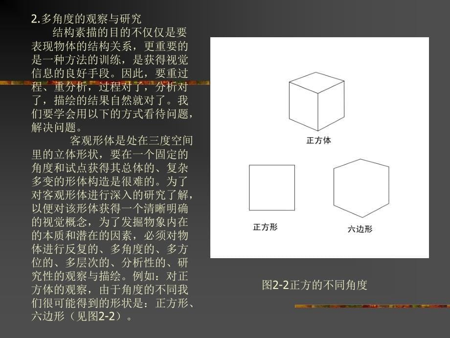 造型基础：结构素描_第5页