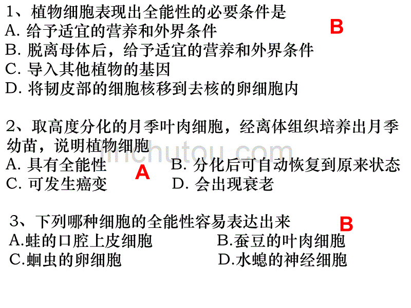 高一生物细胞的分化3_第4页