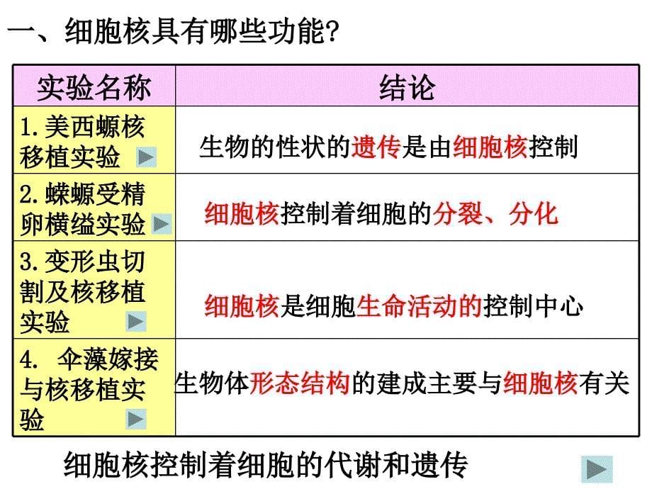 必修一细胞核系统的控制中心_第5页