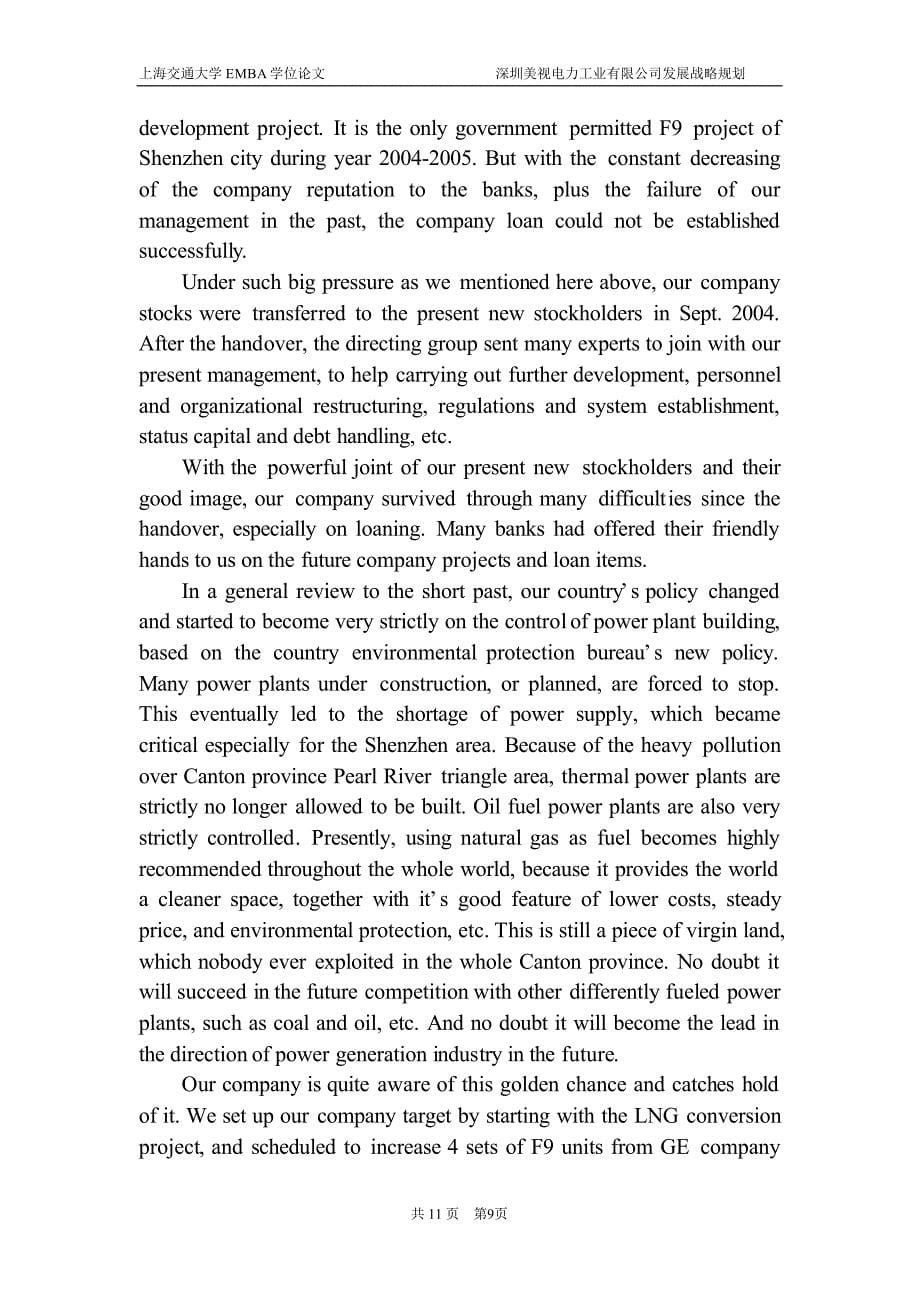 深圳美视电力工业有限公司发展战略规划_第5页