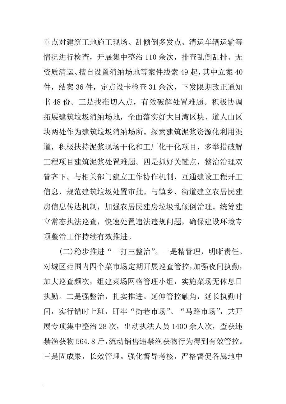 城管年终个人工作总结与行政执法局年度工作总结合集 .docx_第5页