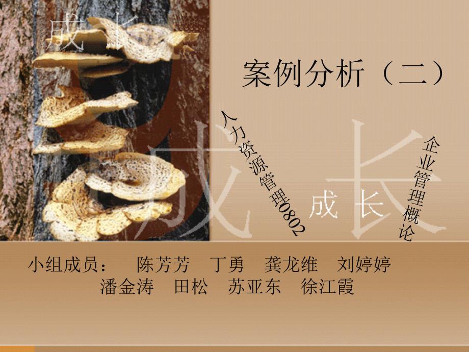 案例分析(二)_第1页