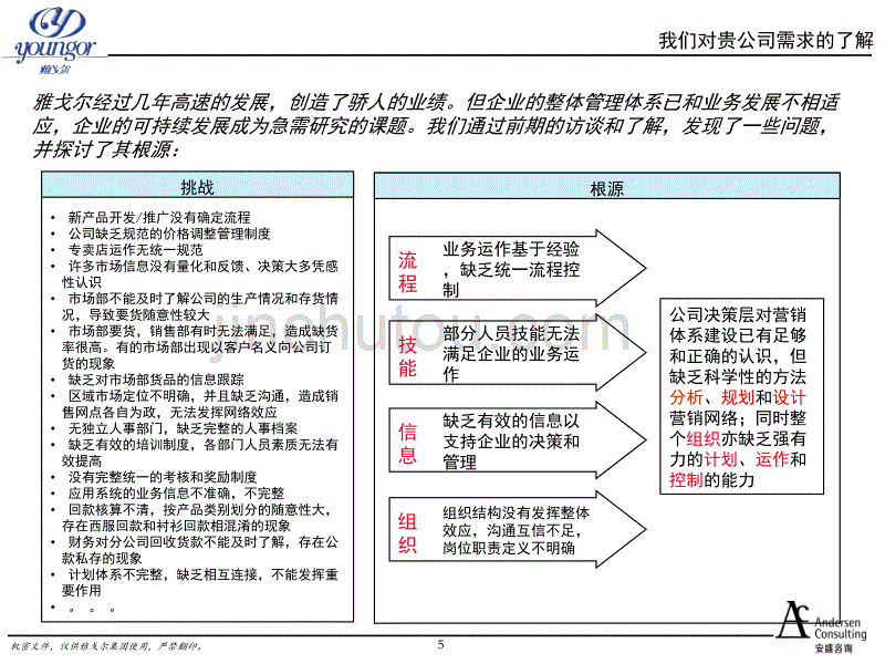 安盛雅戈尔服饰有限公司营销网络建设项目建议书最终版_第5页