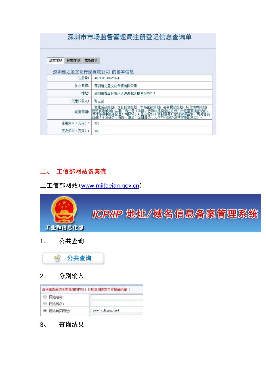 维之圣（vrking）公司工商登记资料_第2页