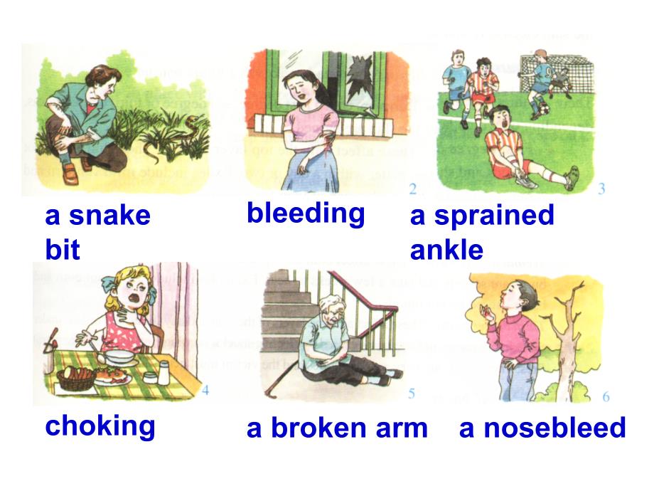 人教 必修5 unit5 reading1 (共25张ppt)_第1页