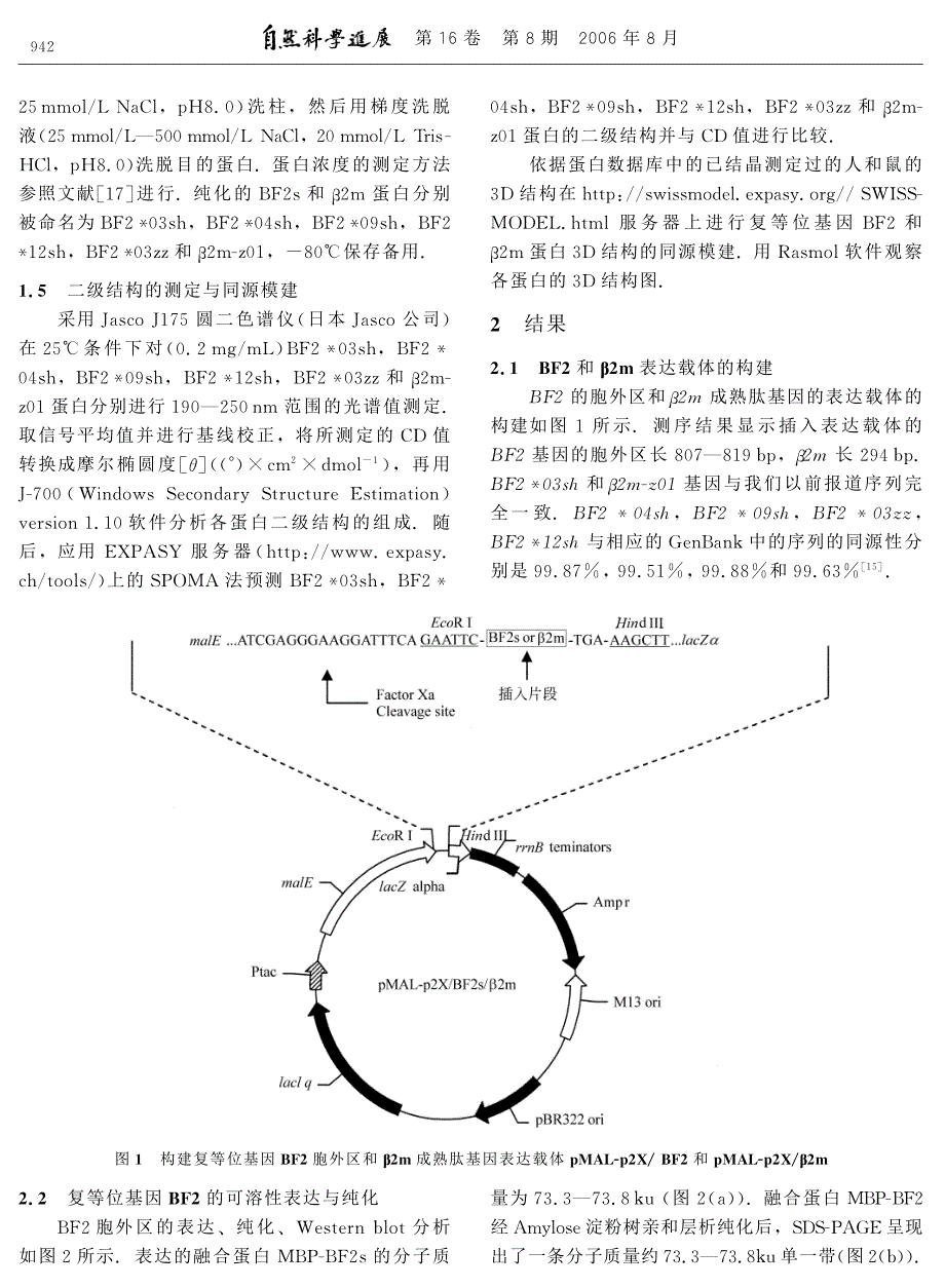 鸡复等位基因BF2与 β2m的结构解析.pdf_第3页