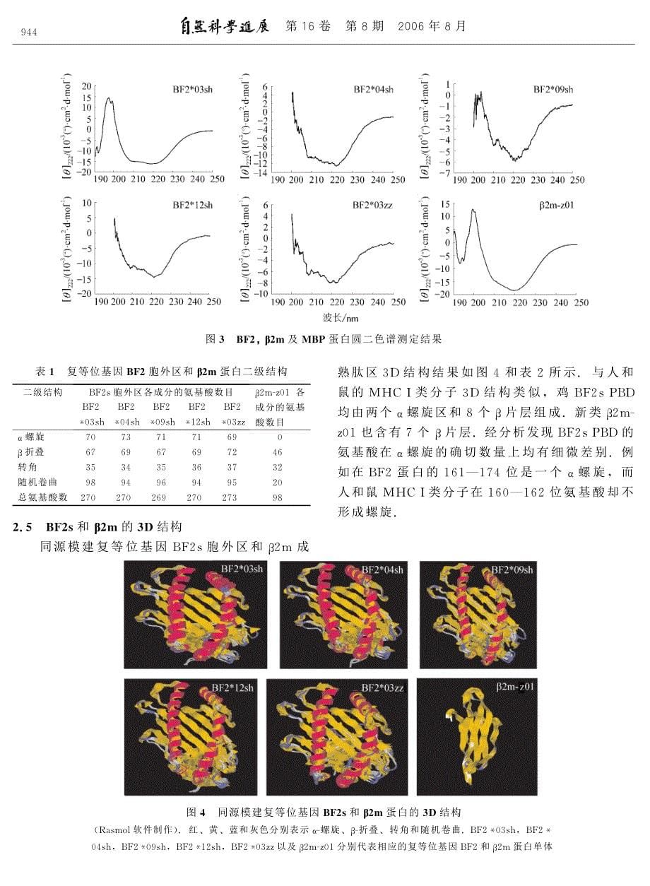 鸡复等位基因BF2与 β2m的结构解析.pdf_第5页