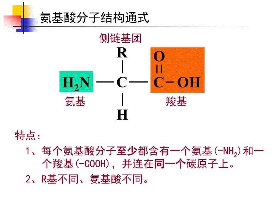 生命活动的主要承担者——蛋白质46_第5页