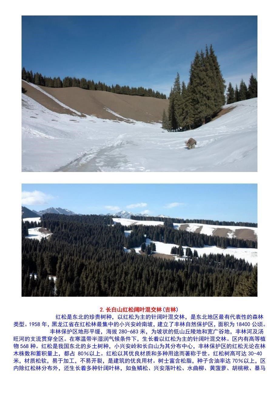 中国最美的地方 最美的十大森林_第5页
