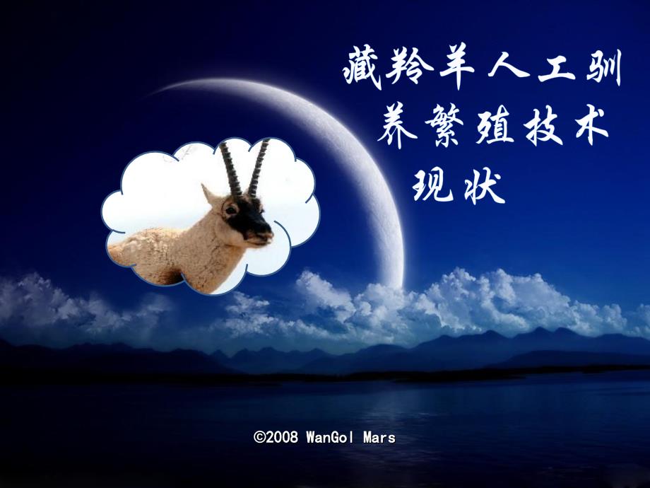 初一思想品德学生作业展示之藏羚羊人工驯养繁殖技术现状_第1页