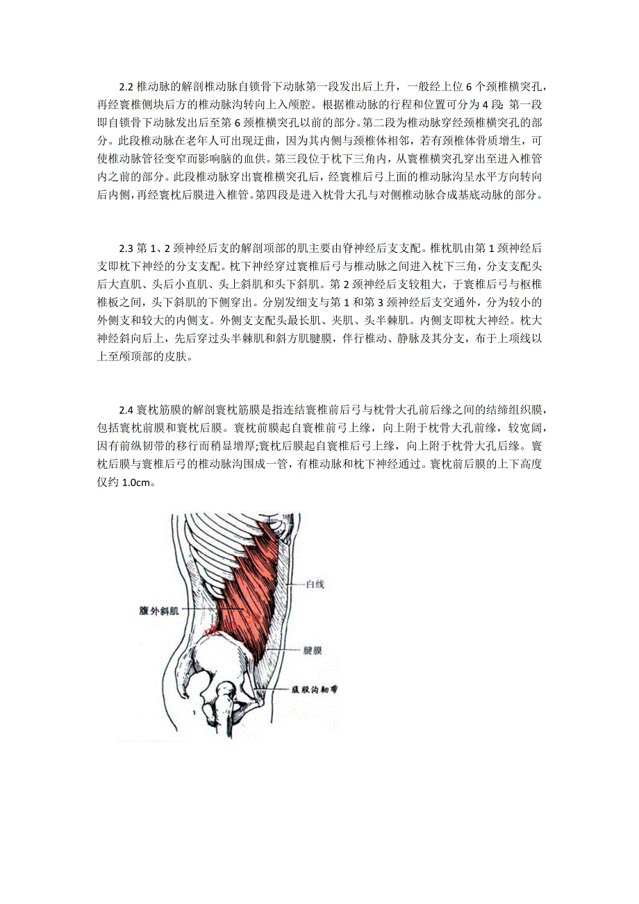 椎枕肌劳损的应用解剖及针刀治疗方案_第2页