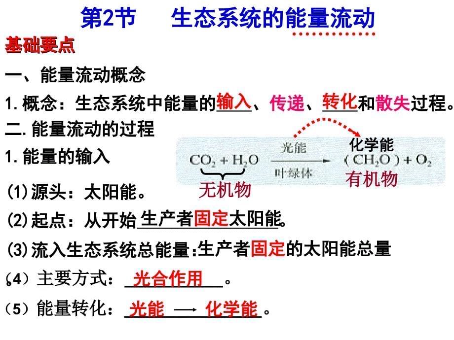 生态系统的能量流动-ppt_第5页