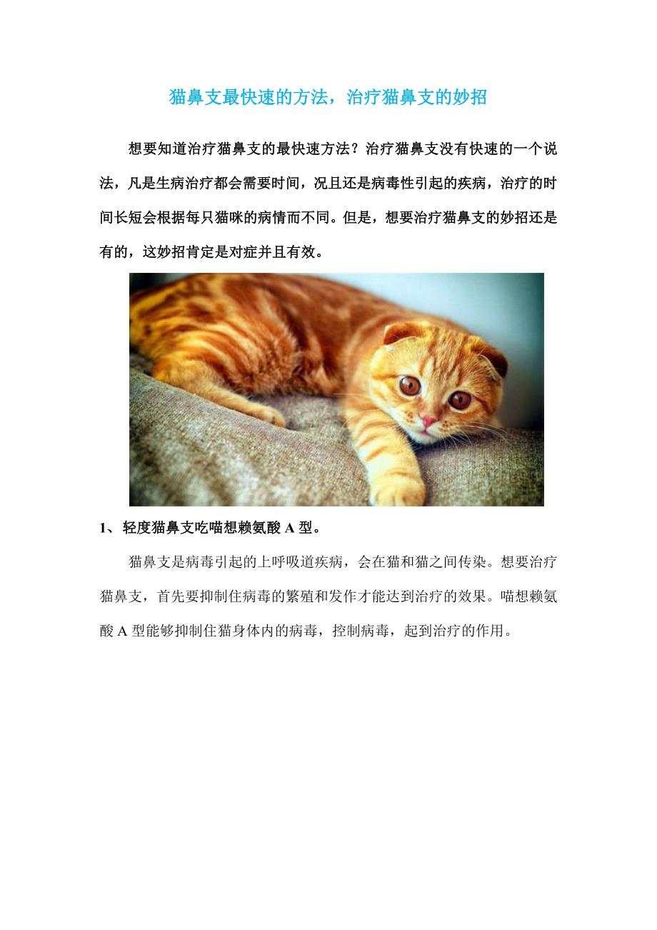 猫鼻支最快速的方法,治疗猫鼻支的妙招_第1页