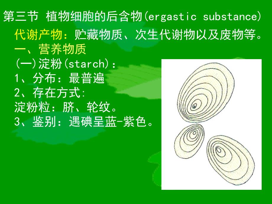 植物细胞的后含物_第1页