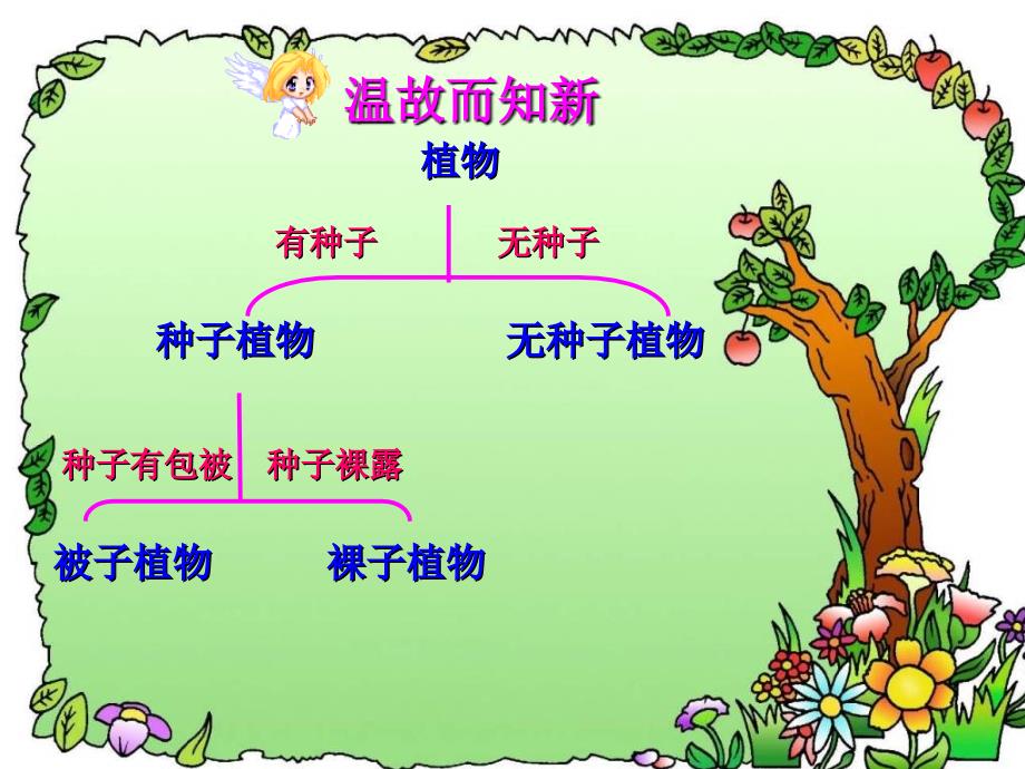 七年级科学常见的植物2_第3页