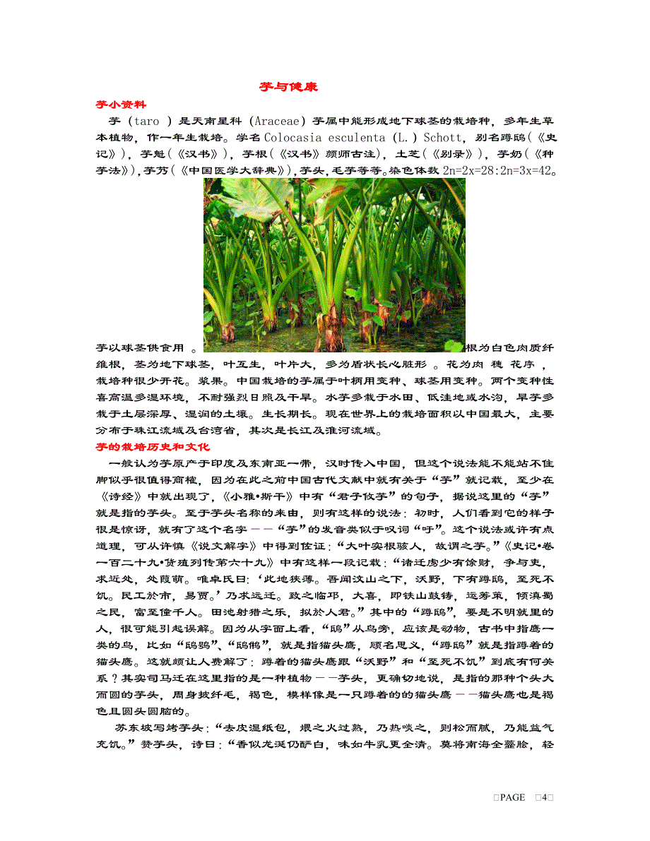 蔬菜与健康--芋_第1页