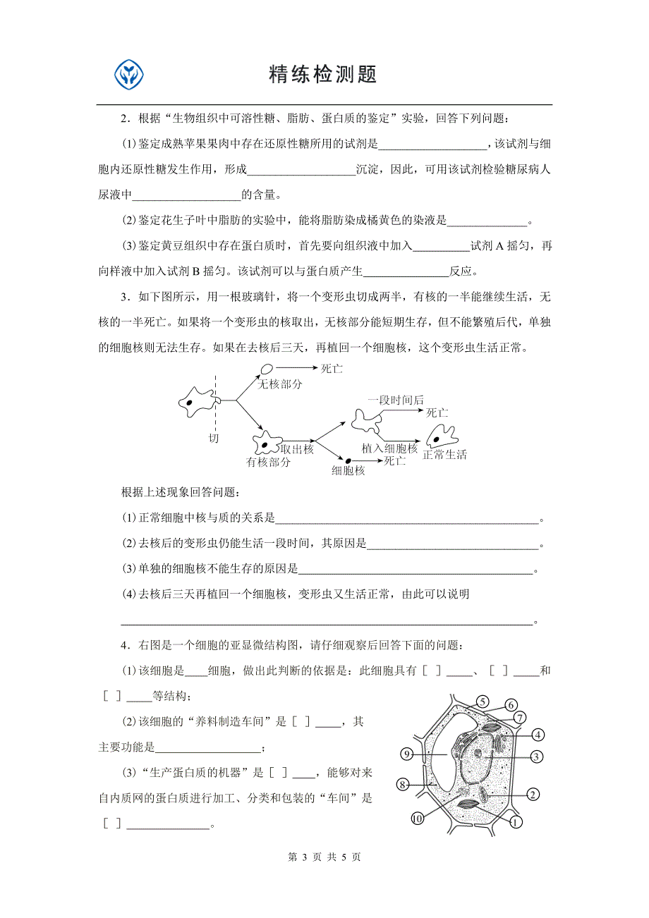 人教高一生物必修一期中习题_第3页