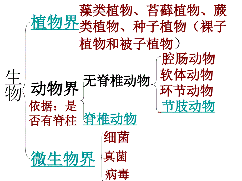 修改后的 八年级上册复习演示文稿_第2页