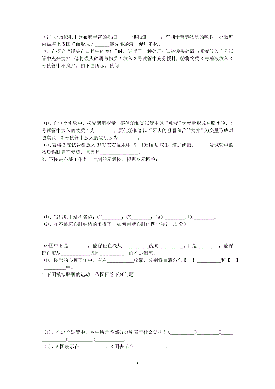 七年级下册生物试题_第3页