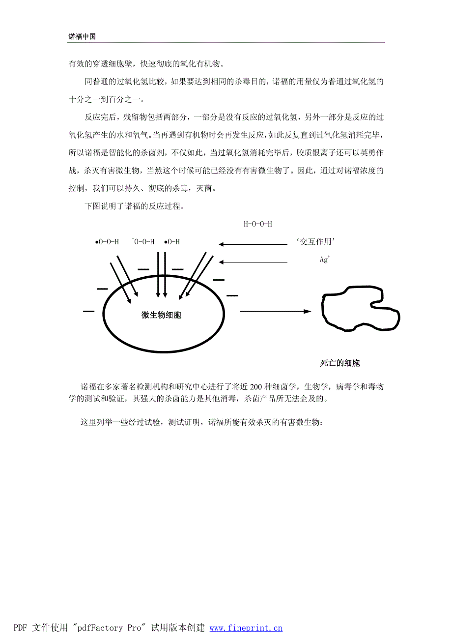 诺福牌消毒剂_第4页