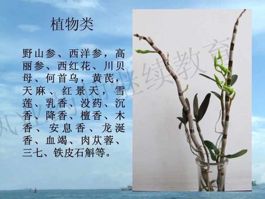 名贵中药鉴别-彭浩彬_第5页