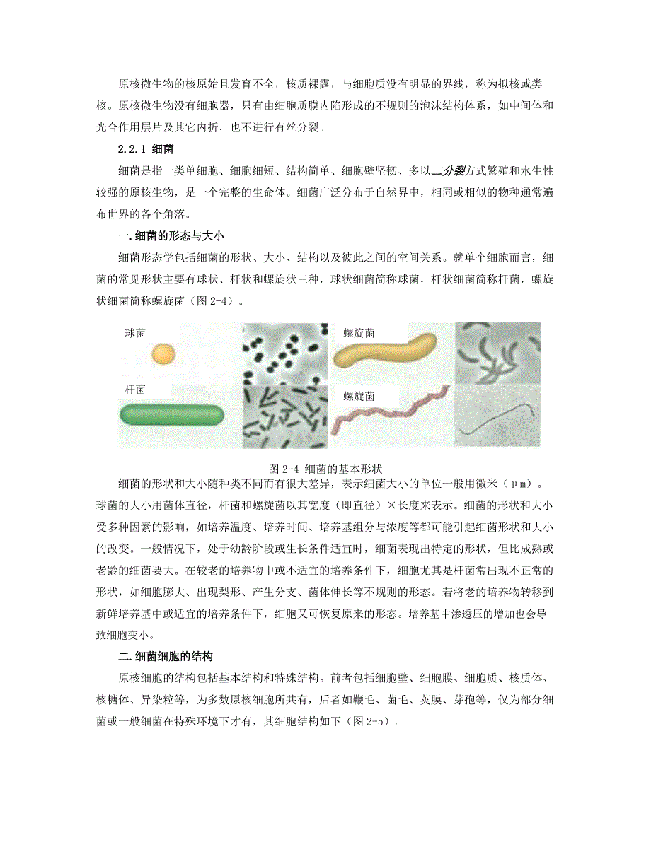 微生物的形态结构及其与环境的关系_第2页