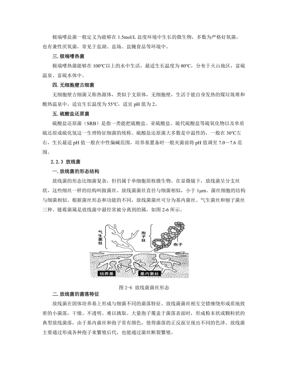 微生物的形态结构及其与环境的关系_第4页