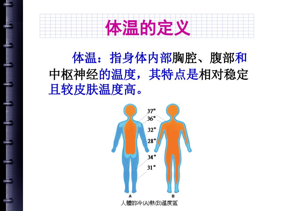 生命体征的观察及护理_第4页