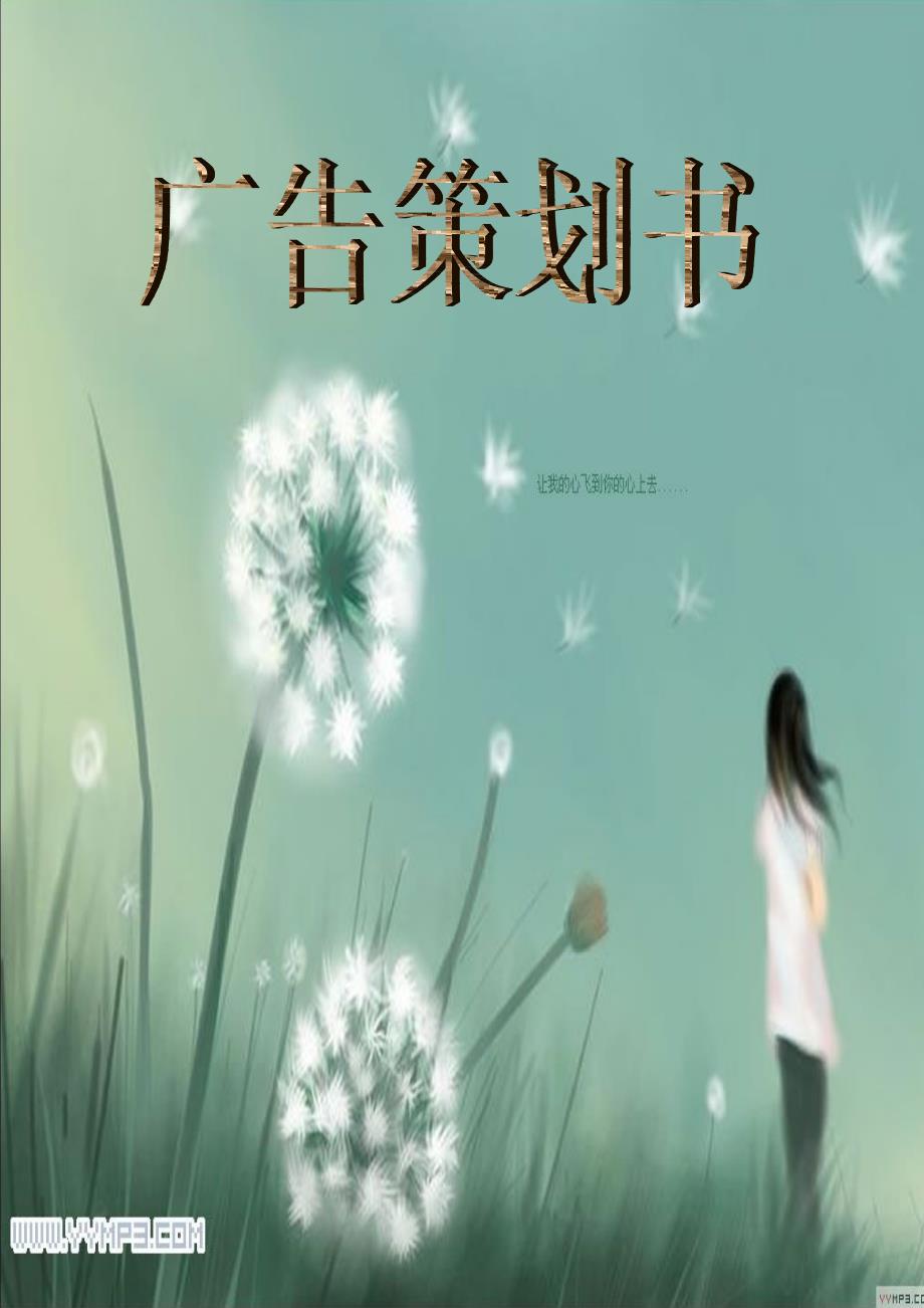 百盛广告策划书_第1页