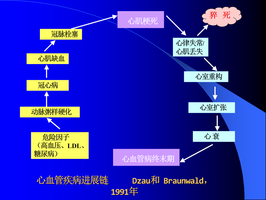 不同病因重症心力衰竭急诊救治对策_第4页