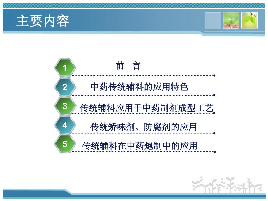 傅超美-中药传统辅料在中药制剂中的应用_第2页