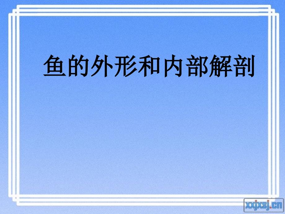 鱼的外形和内部解_第1页