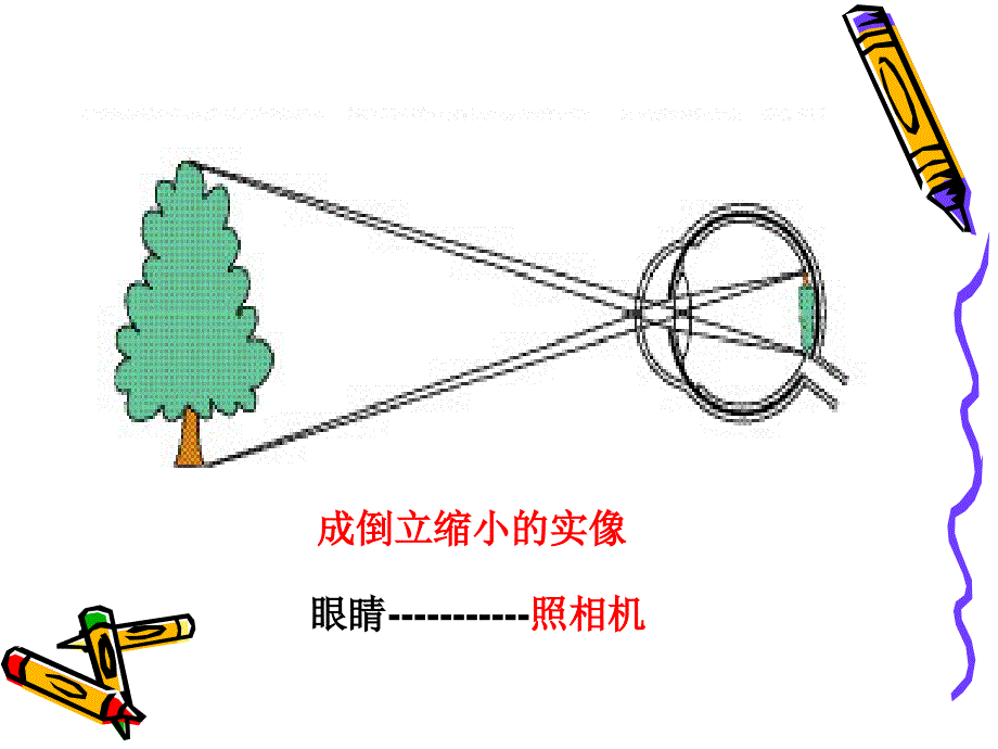 《眼睛和眼镜》ppt_第4页